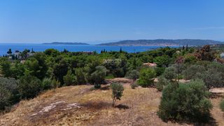 Οικόπεδο 1.000 τ.μ. για πώληση, Αργολίδα, Κρανίδι-thumb-22