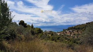 Οικόπεδο 890 τ.μ. για πώληση, Αργολίδα, Κρανίδι-thumb-9