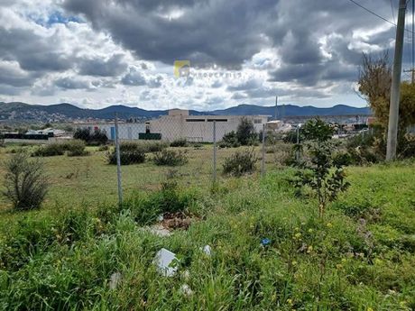 Αγροτεμάχια 5.175τ.μ. για πώληση-Ανάβυσσος