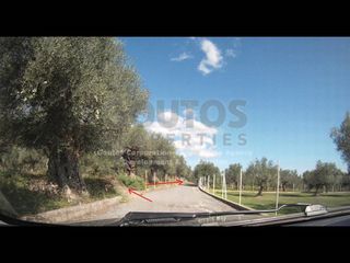 Αγροτεμάχια 4.006,02 τ.μ. για πώληση, Λακωνία, Μυστράς-thumb-6