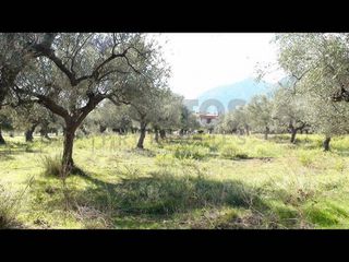 Αγροτεμάχια 4.006,02 τ.μ. για πώληση, Λακωνία, Μυστράς-thumb-3