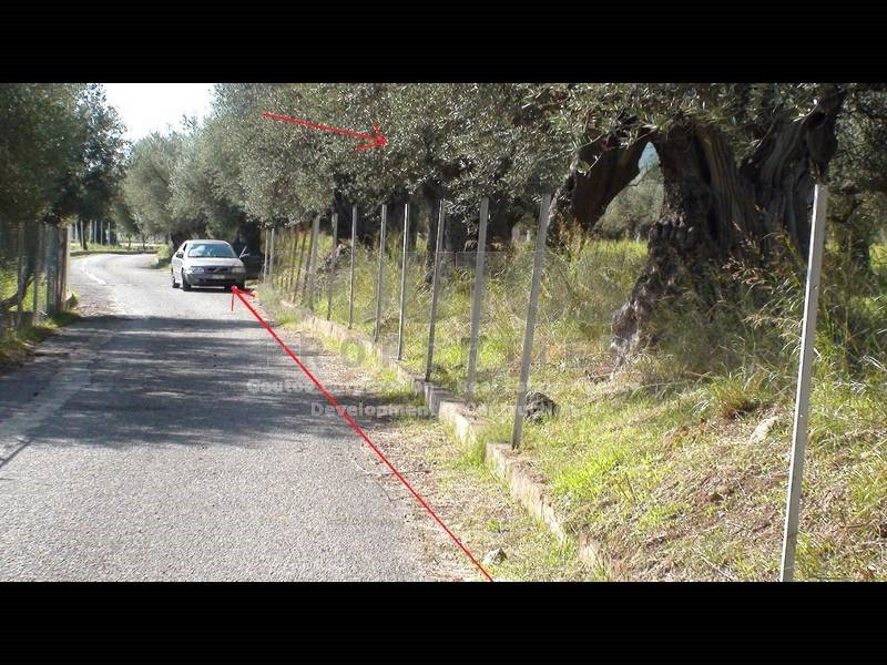 Αγροτεμάχια 4.006,02 τ.μ. προς πώληση, Μυστράς Λακωνίας