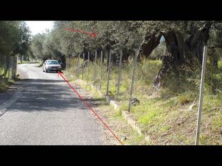 Αγροτεμάχια 4.006,02 τ.μ. για πώληση, Λακωνία, Μυστράς-thumb-4