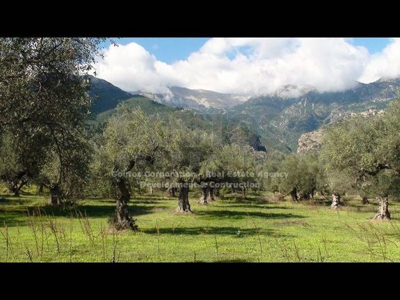 Αγροτεμάχια 4.006,02 τ.μ. για πώληση, Λακωνία, Μυστράς