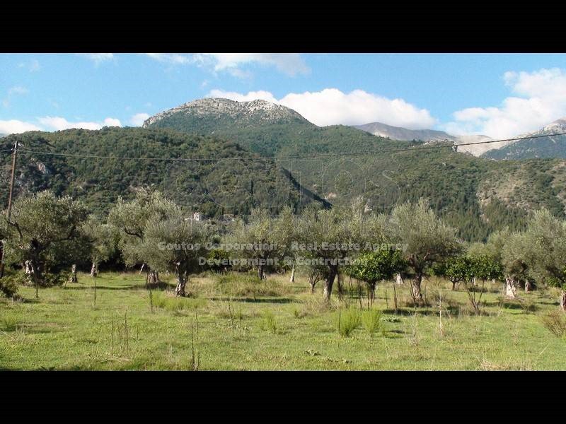 Αγροτεμάχια 24.885 τ.μ. προς πώληση, Μυστράς Λακωνίας