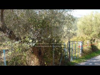 Αγροτεμάχια 24.885 τ.μ. για πώληση, Λακωνία, Μυστράς-thumb-2