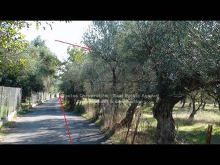Αγροτεμάχια 24.885 τ.μ. για πώληση, Λακωνία, Μυστράς-thumb-4