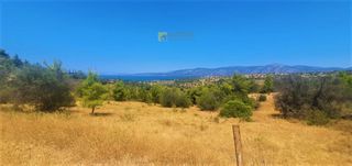 Αγροτεμάχια 4.017 τ.μ. για πώληση, Αργολίδα, Κρανίδι-thumb-2