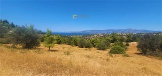 Αγροτεμάχια 4.017 τ.μ. για πώληση, Αργολίδα, Κρανίδι-thumb-12