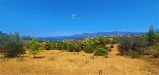 Αγροτεμάχια 4.017 τ.μ. για πώληση, Αργολίδα, Κρανίδι-thumb-3