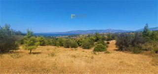 Αγροτεμάχια 4.017 τ.μ. για πώληση, Αργολίδα, Κρανίδι-thumb-11