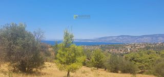 Αγροτεμάχια 4.017 τ.μ. για πώληση, Αργολίδα, Κρανίδι-thumb-14