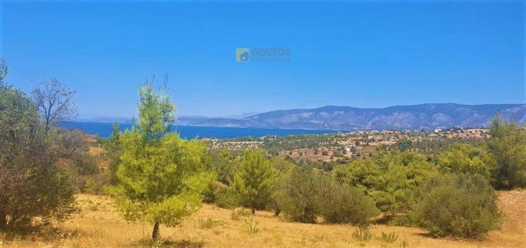 Αγροτεμάχια 4.017 τ.μ. για πώληση, Αργολίδα, Κρανίδι