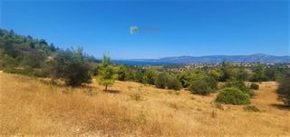 Αγροτεμάχια 4.017 τ.μ. για πώληση, Αργολίδα, Κρανίδι-thumb-6