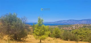 Αγροτεμάχια 4.017 τ.μ. για πώληση, Αργολίδα, Κρανίδι-thumb-13