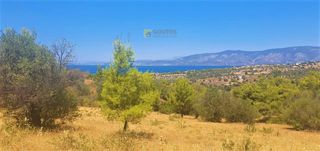 Αγροτεμάχια 4.017 τ.μ. για πώληση, Αργολίδα, Κρανίδι-thumb-15