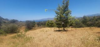 Αγροτεμάχια 4.017 τ.μ. για πώληση, Αργολίδα, Κρανίδι-thumb-8