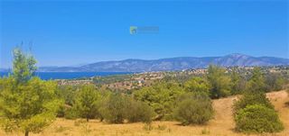 Αγροτεμάχια 4.017 τ.μ. για πώληση, Αργολίδα, Κρανίδι-thumb-1