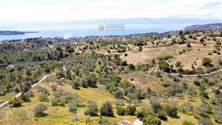 Αγροτεμάχια 4.377 τ.μ. για πώληση, Αργολίδα, Κρανίδι-thumb-11