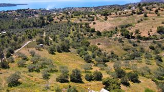 Αγροτεμάχια 4.377 τ.μ. για πώληση, Αργολίδα, Κρανίδι-thumb-13