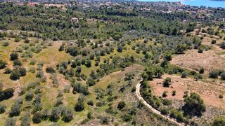 Αγροτεμάχια 4.377 τ.μ. για πώληση, Αργολίδα, Κρανίδι-thumb-23