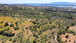 Αγροτεμάχια 4.377 τ.μ. για πώληση, Αργολίδα, Κρανίδι-thumb-25
