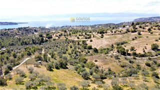 Αγροτεμάχια 4.377 τ.μ. για πώληση, Αργολίδα, Κρανίδι-thumb-12