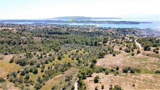 Αγροτεμάχια 4.377 τ.μ. για πώληση, Αργολίδα, Κρανίδι-thumb-29