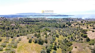 Αγροτεμάχια 4.377 τ.μ. για πώληση, Αργολίδα, Κρανίδι-thumb-16