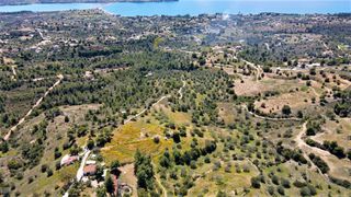 Αγροτεμάχια 4.377 τ.μ. για πώληση, Αργολίδα, Κρανίδι-thumb-6