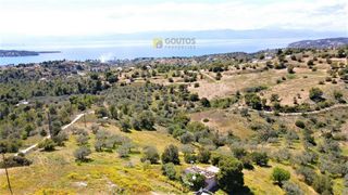 Αγροτεμάχια 4.377 τ.μ. για πώληση, Αργολίδα, Κρανίδι-thumb-10