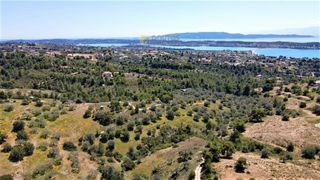 Αγροτεμάχια 4.377 τ.μ. για πώληση, Αργολίδα, Κρανίδι-thumb-24