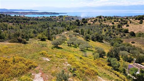Αγροτεμάχια 4.377τ.μ. για πώληση-Κρανίδι