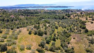 Αγροτεμάχια 4.377 τ.μ. για πώληση, Αργολίδα, Κρανίδι-thumb-15