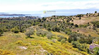 Αγροτεμάχια 4.377 τ.μ. για πώληση, Αργολίδα, Κρανίδι-thumb-2