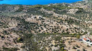 Αγροτεμάχια 22.614 τ.μ. για πώληση, Αργολίδα, Κρανίδι-thumb-22