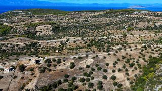 Αγροτεμάχια 22.614 τ.μ. για πώληση, Αργολίδα, Κρανίδι-thumb-13