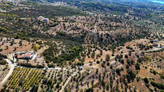 Αγροτεμάχια 22.614 τ.μ. για πώληση, Αργολίδα, Κρανίδι-thumb-11