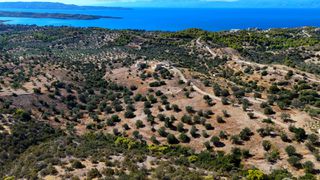 Αγροτεμάχια 22.614 τ.μ. για πώληση, Αργολίδα, Κρανίδι-thumb-15