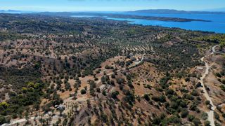 Αγροτεμάχια 22.614 τ.μ. για πώληση, Αργολίδα, Κρανίδι-thumb-8