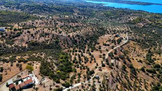 Αγροτεμάχια 22.614 τ.μ. για πώληση, Αργολίδα, Κρανίδι-thumb-10