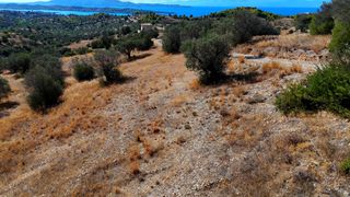 Αγροτεμάχια 22.614 τ.μ. για πώληση, Αργολίδα, Κρανίδι-thumb-16