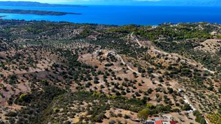 Αγροτεμάχια 22.614 τ.μ. για πώληση, Αργολίδα, Κρανίδι-thumb-1