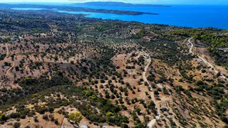 Αγροτεμάχια 22.614 τ.μ. για πώληση, Αργολίδα, Κρανίδι-thumb-9