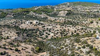 Αγροτεμάχια 22.614 τ.μ. για πώληση, Αργολίδα, Κρανίδι-thumb-21