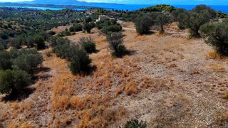 Αγροτεμάχια 22.614 τ.μ. για πώληση, Αργολίδα, Κρανίδι-thumb-7
