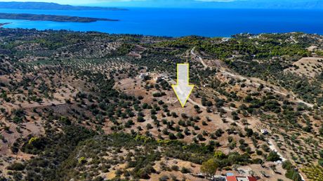 Αγροτεμάχια 22.614τ.μ. για πώληση-Κρανίδι