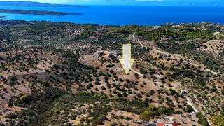 Αγροτεμάχια 22.614 τ.μ. για πώληση