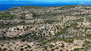 Αγροτεμάχια 22.614 τ.μ. για πώληση, Αργολίδα, Κρανίδι-thumb-20