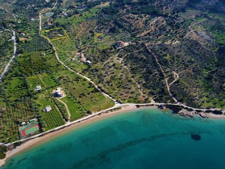 Αγροτεμάχια 4.050τ.μ. για πώληση-Κρανίδι